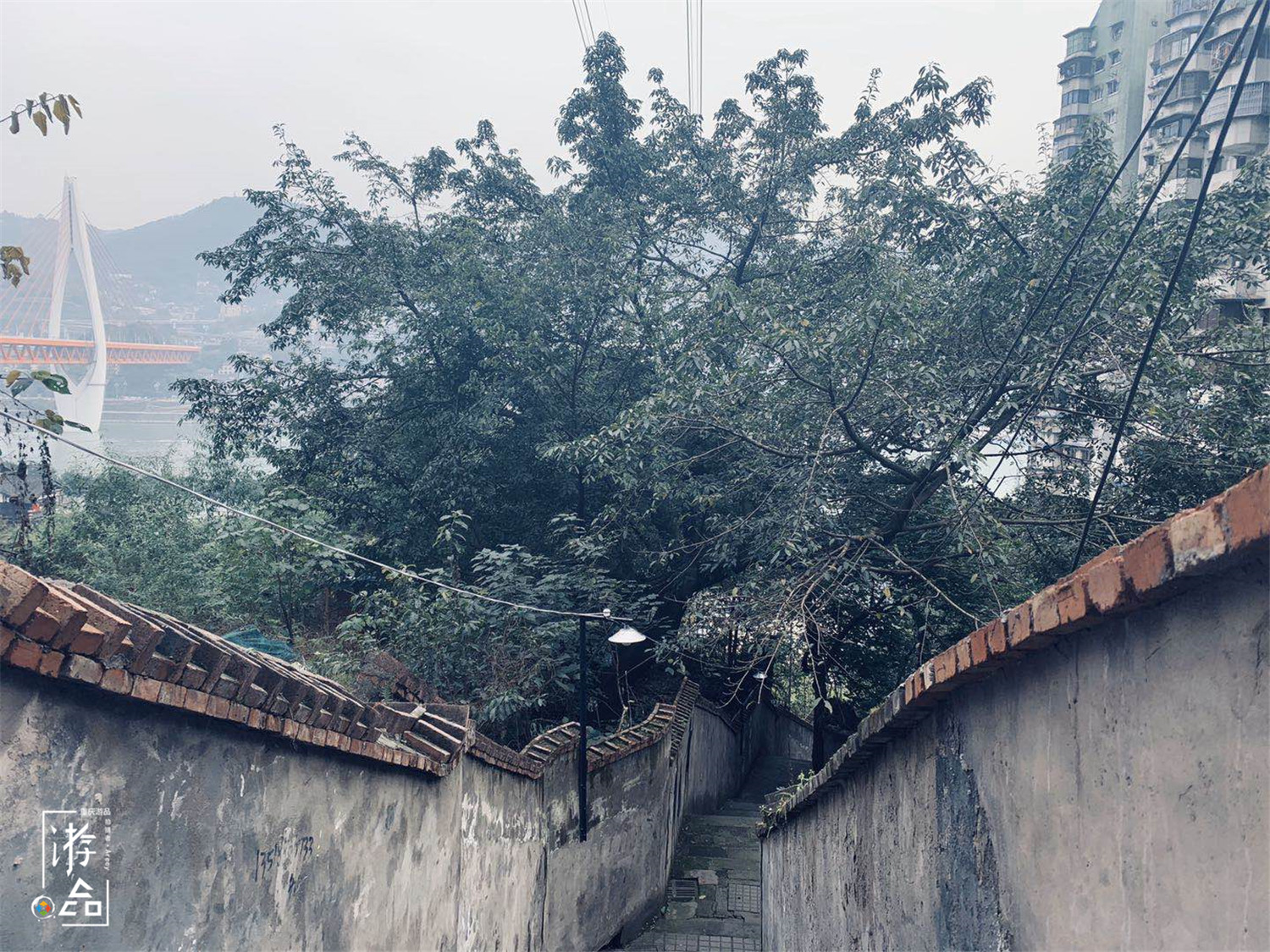 渝中半岛是重庆的缺陷？被打上山城的标签，本地人却拒绝承认