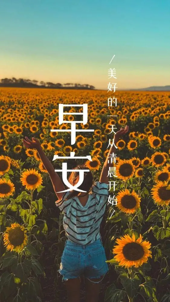 早安心语，正能量走心语录句子很好看的早上好图片图片