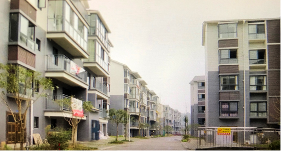 四川省洪雅县：让群众住上大房子 过上好日子