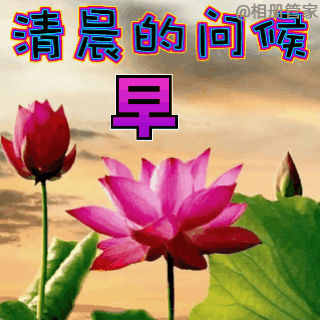适合恋人早安心语  早上早上好图片漂亮祝福图片