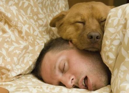 你睡着后狗狗会做什么？如果做这5件事，说明你没白养它