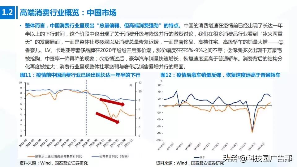 2020年中国高端消费品专题报告