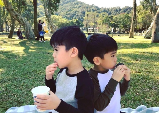 陳若儀帶兒子戶外嬉戲，雙子星越長越不像，一個隨媽一個像爸