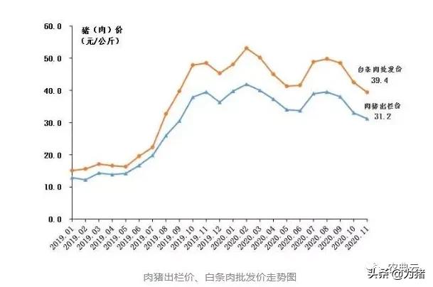 最新！自繁自养头均盈利1538元，仔猪价格每头降至1106元