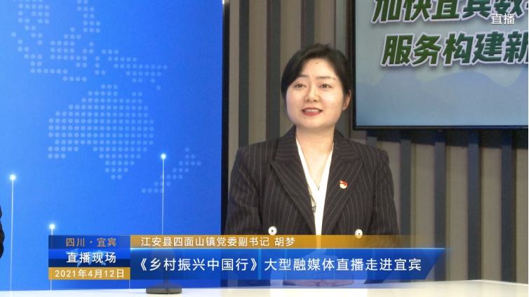 乡村振兴中国行大型融媒体直播走进宜宾