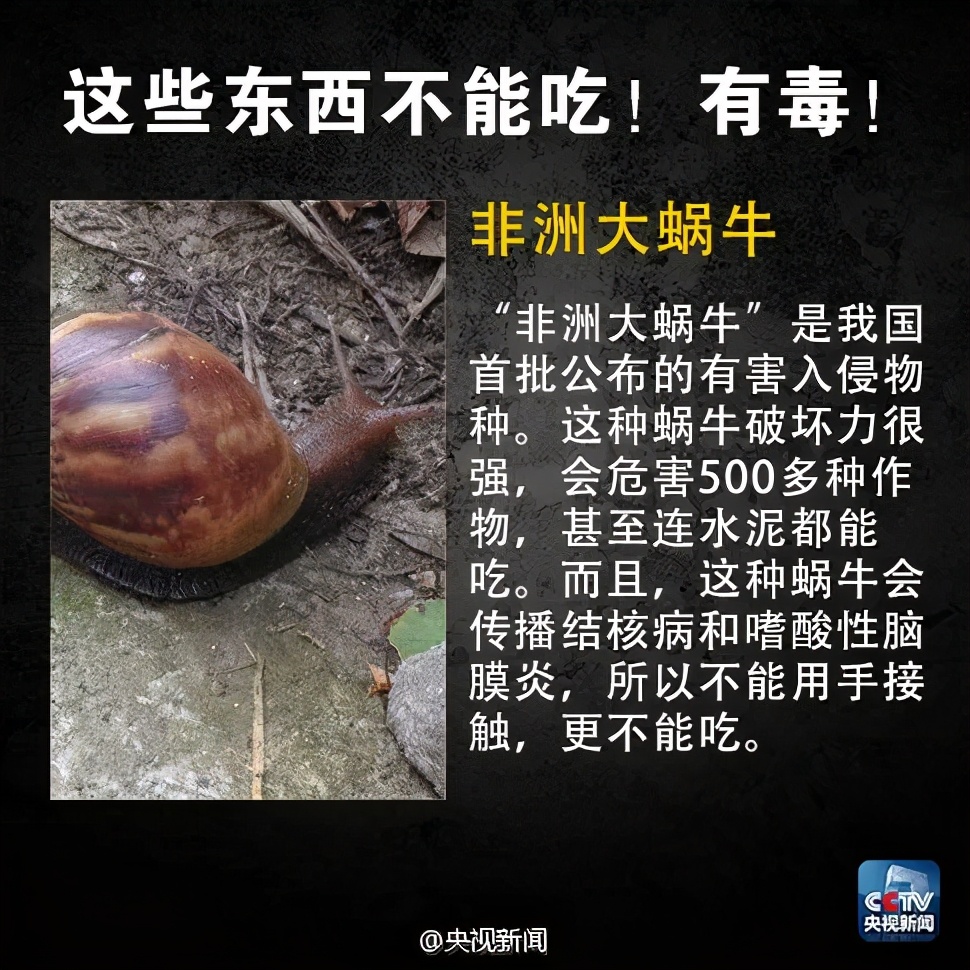 紧急提醒！近期多人中毒，这种蔬菜东莞人慎吃