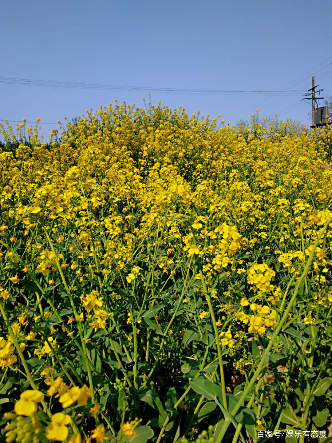 没有一个冬天不会过去，没有一个春天不会到来