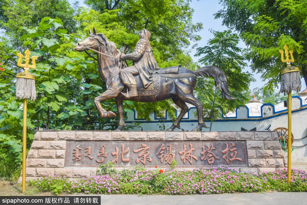 免門票!森林公園裡藏著個“小內蒙古”,還免費停車~