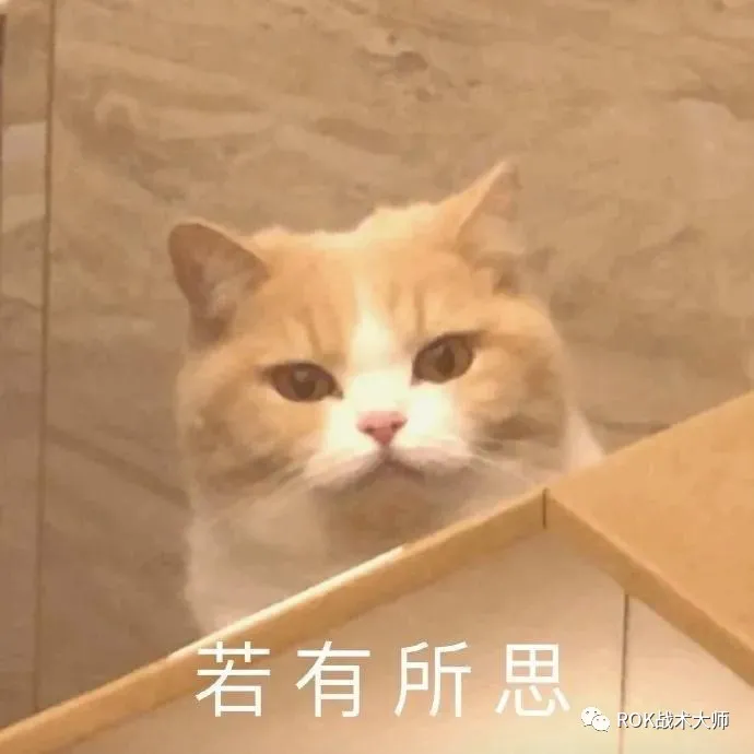 万国觉醒丨K4英雄赞歌介绍（下）