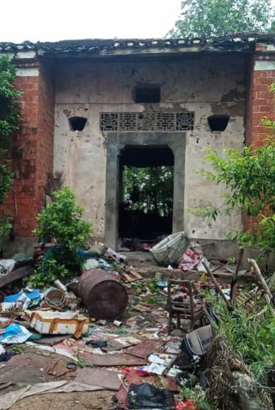 桥市镇柴湖村：化蛹为蝶不寻常