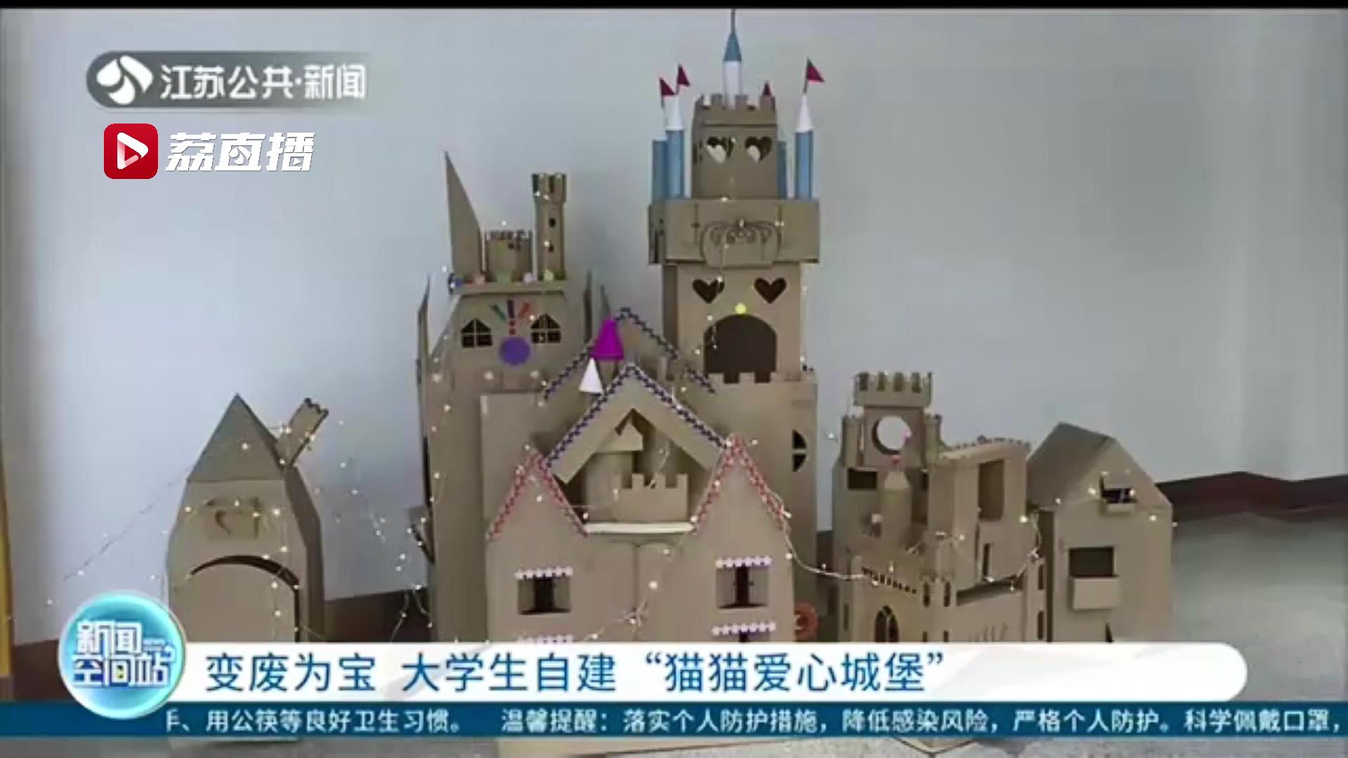 变废为宝！大学生自建“猫猫爱心城堡”让流浪猫住上温暖的“家”