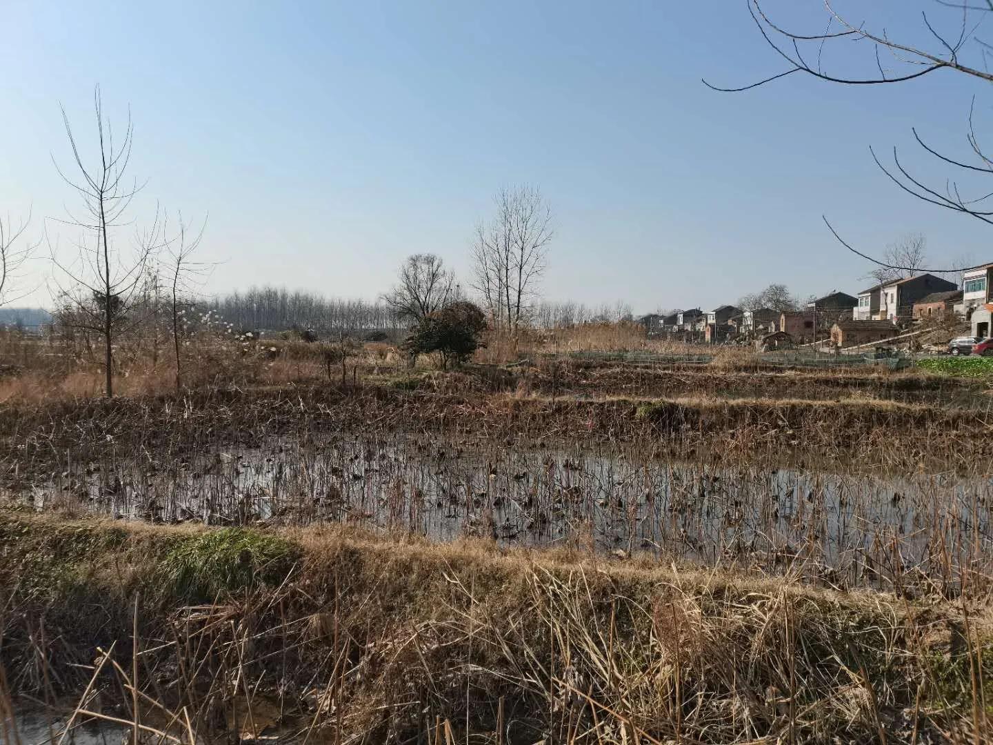隱忍與退讓：農村老人和子女的相處之道