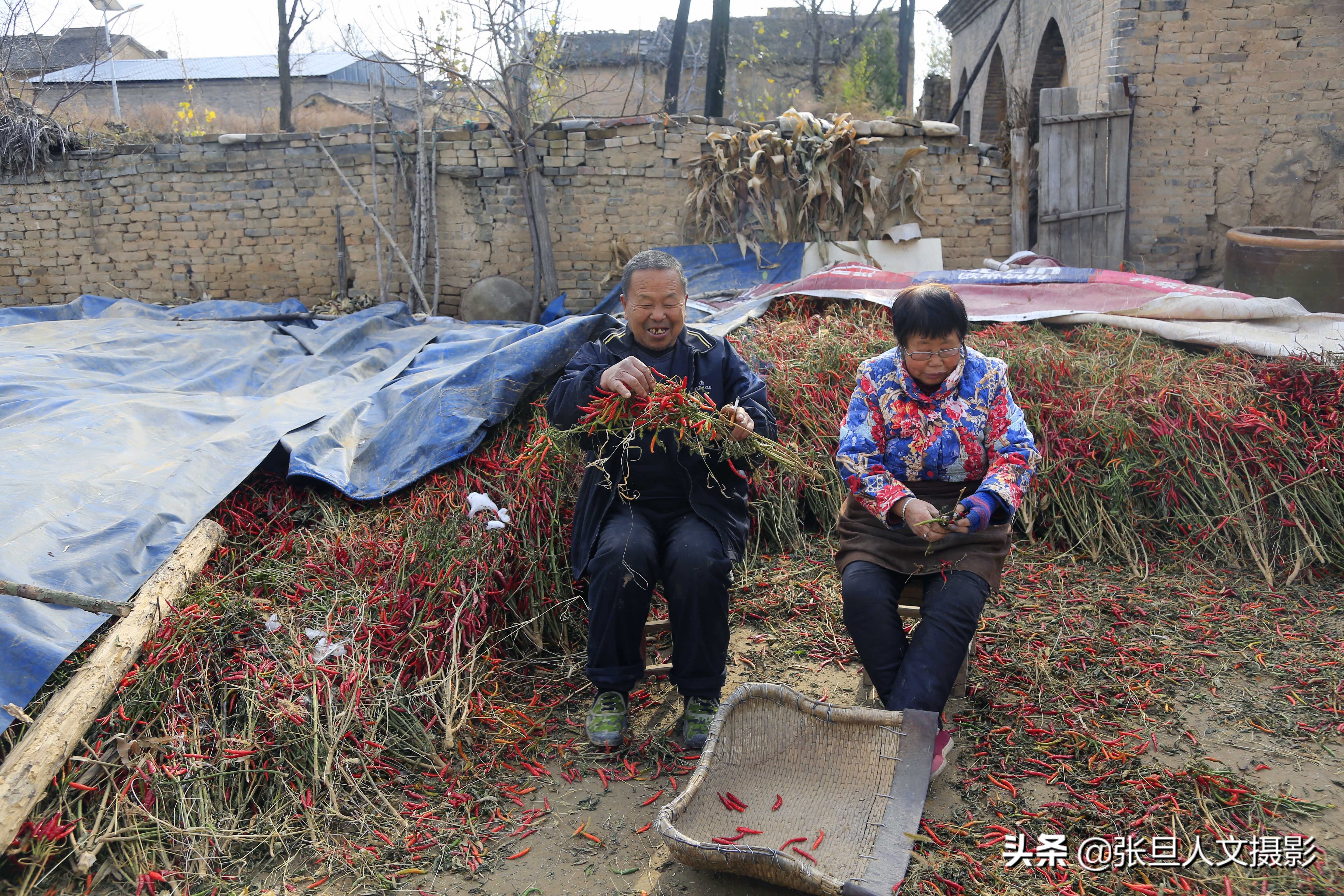 70岁老人住窑洞种辣椒 过着简朴的生活 空降兵的身份值得尊重