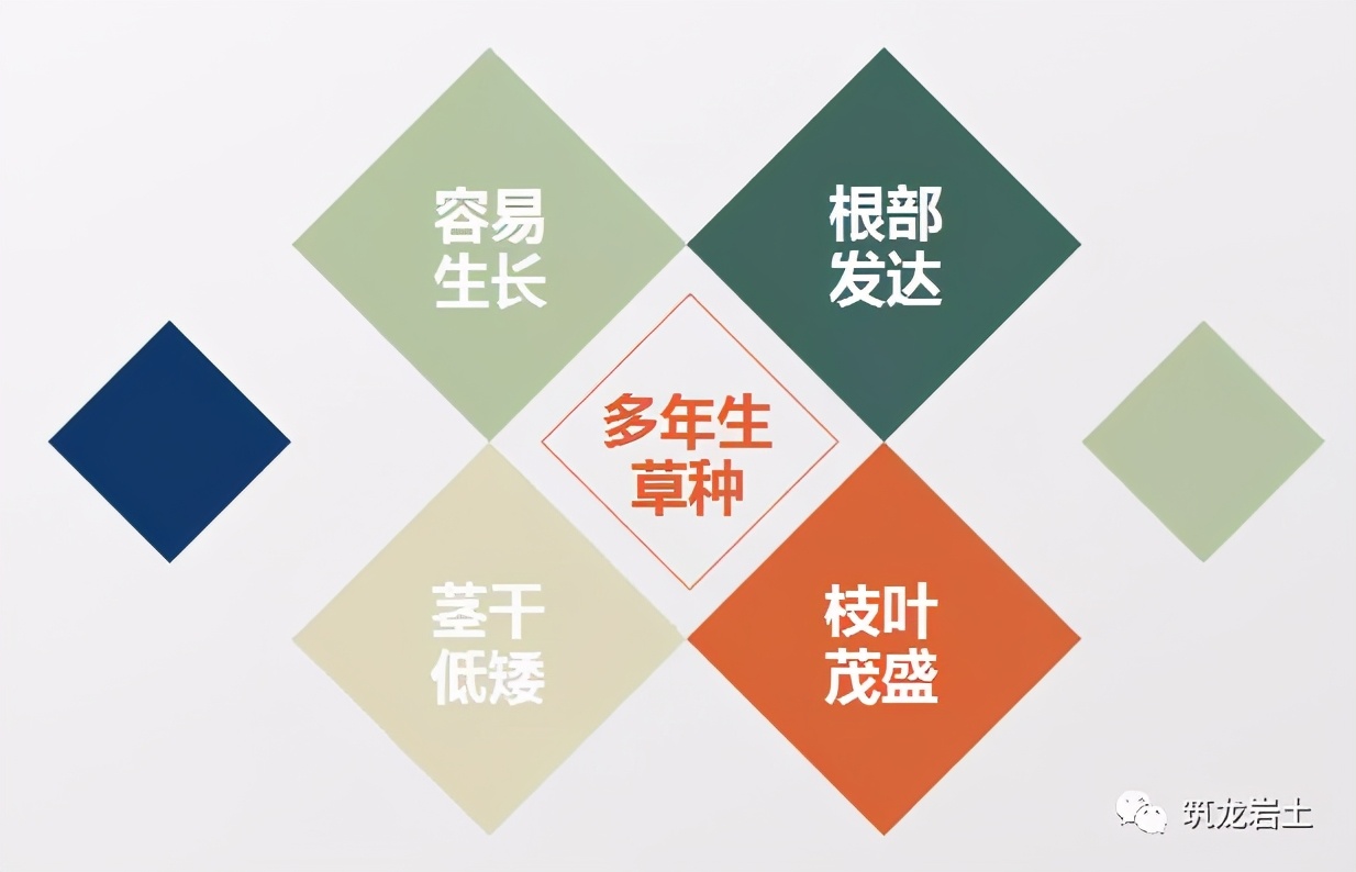 常见边坡坡面防护设计，你真的搞懂了吗？