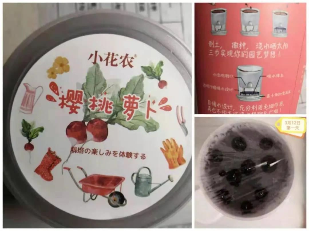 ��֮��.ֲ�̻���--�����еھ�Сѧֲ���ڻ��Ӱ