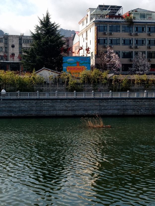 郑州一家独大的局面，对河南整体经济长远均衡发展进步弊端很大