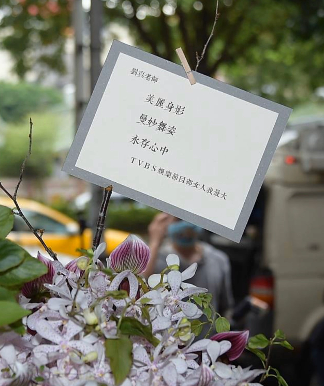 痛失挚友!蓝心湄《女人我最大》曝刘真私下真面目