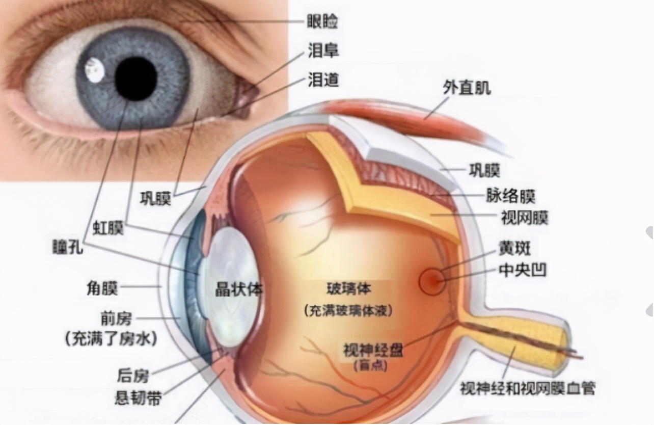 人走後能聽到親人的聲音嗎？如果沒趕上見最後一麵，請不要難過