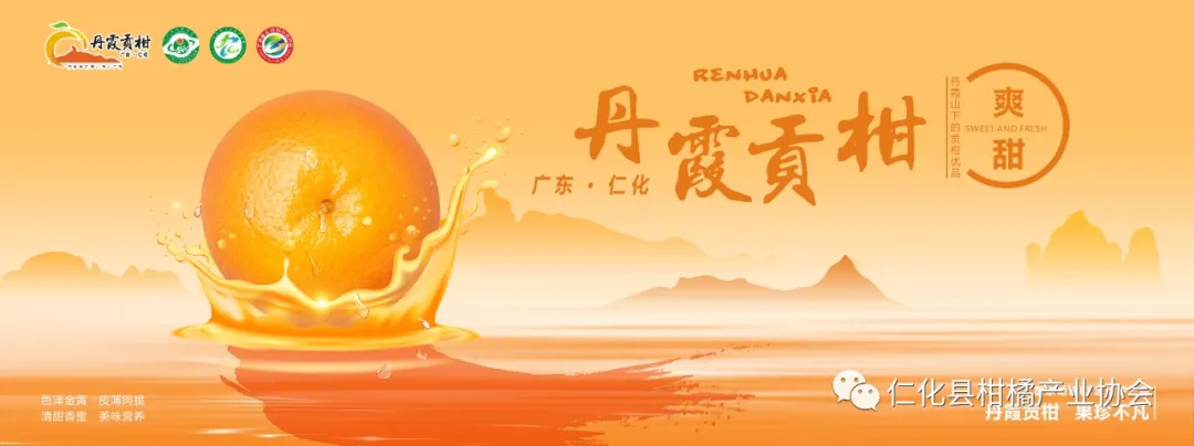 预告