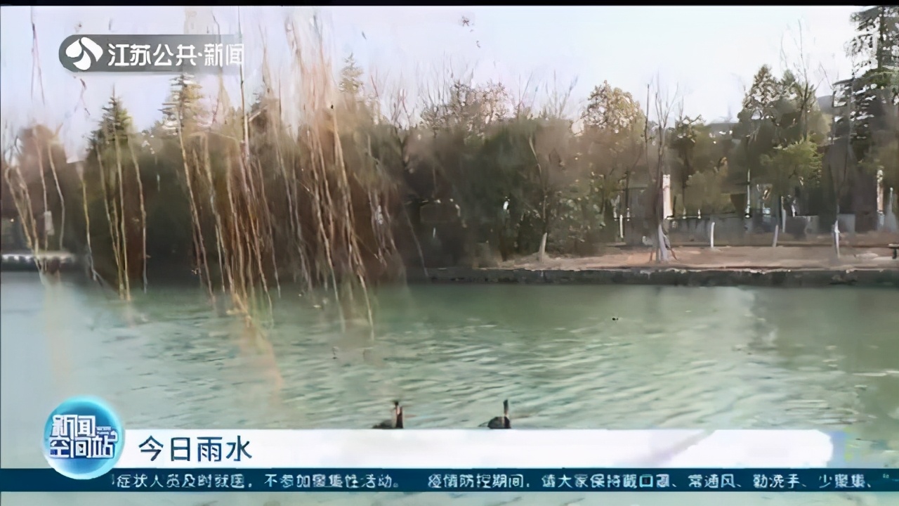 今日雨水！寒冷渐消 江苏气温迈入&ldquo;上行通道&rdquo;