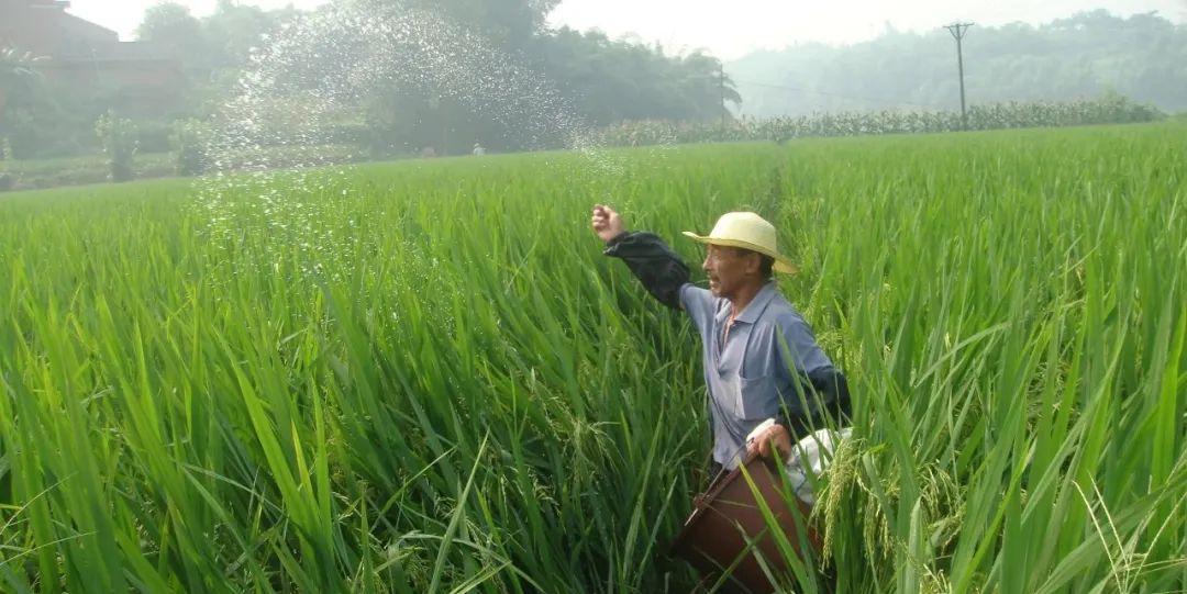 20年，富顺变化翻天覆地