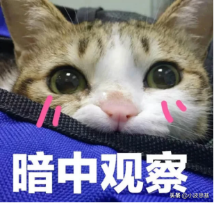 基金一季报来了！傅鹏博、萧楠、周应波、劳杰