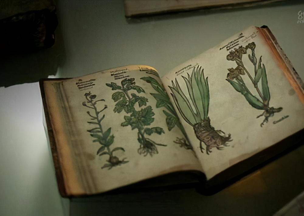 天書《伏尼契手稿》，至今無人能解，裏麵的圖太怪異了伏尼契