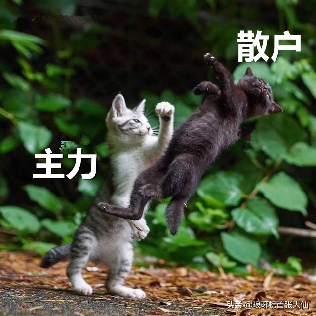 此轮牛市可能突破5178点！但未来12个月里，大部