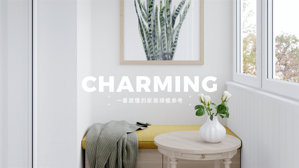 北欧 | 一看就懂的家居绿植参考