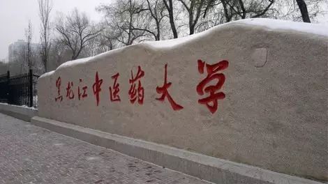 黑龙江省高校（十）黑龙江中医药大学