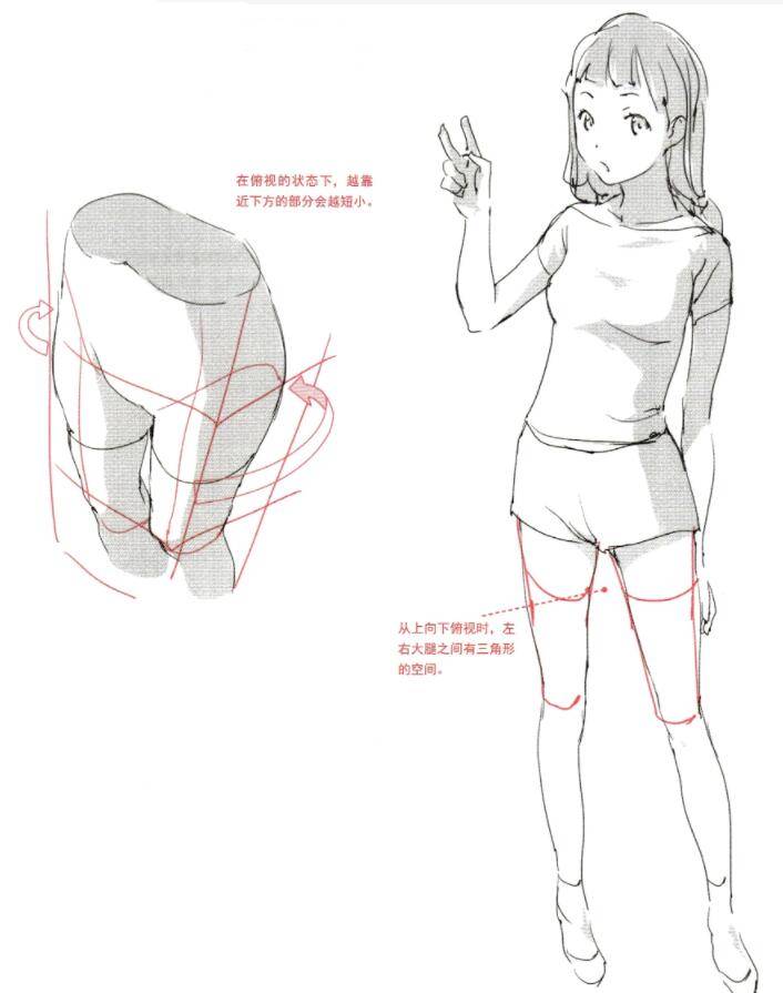 丰满肉感大腿怎么画教你画出丰满性感的大腿腿控福利
