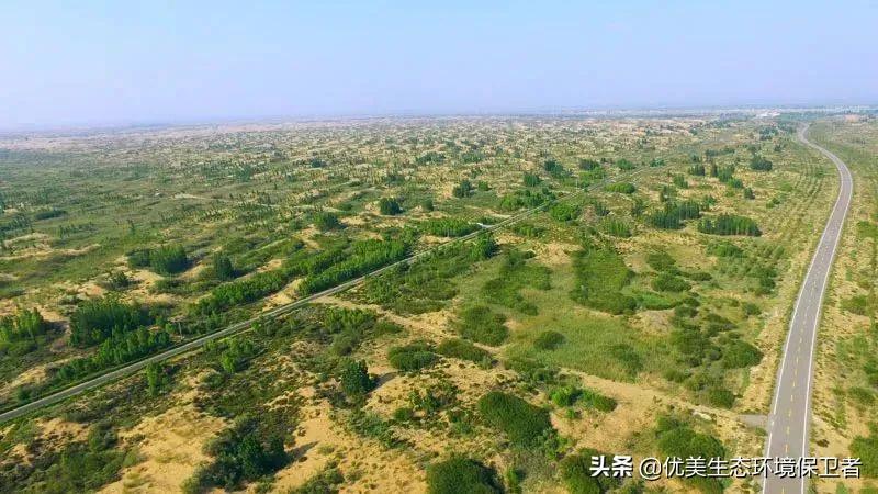 一种野草迅速生长并占领了沙漠，为何美国高兴不起来？