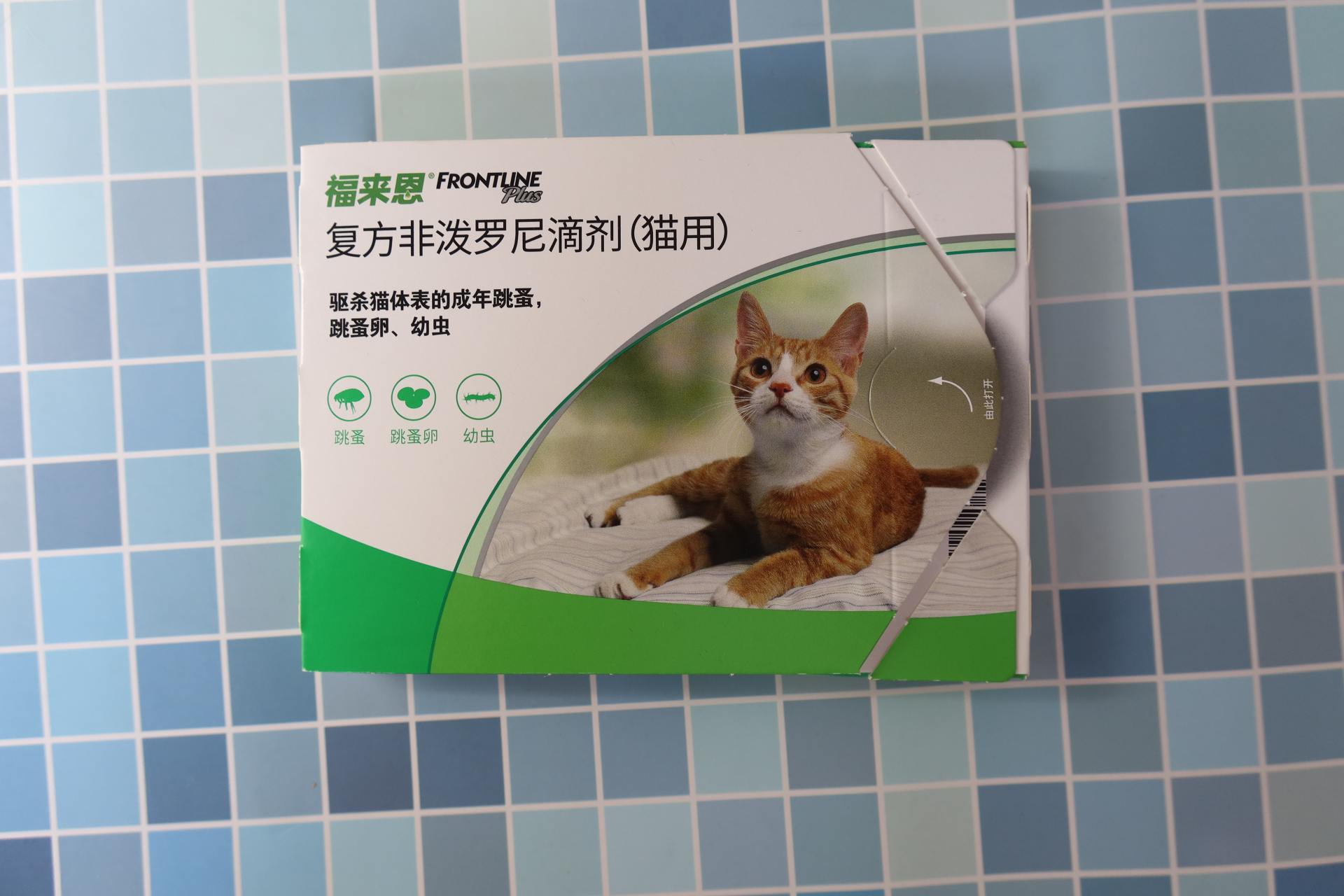 养猫猫的快乐只有养了才知道 六样好物伺候好主子 鹏鹏鸟生活笔记 Mdeditor