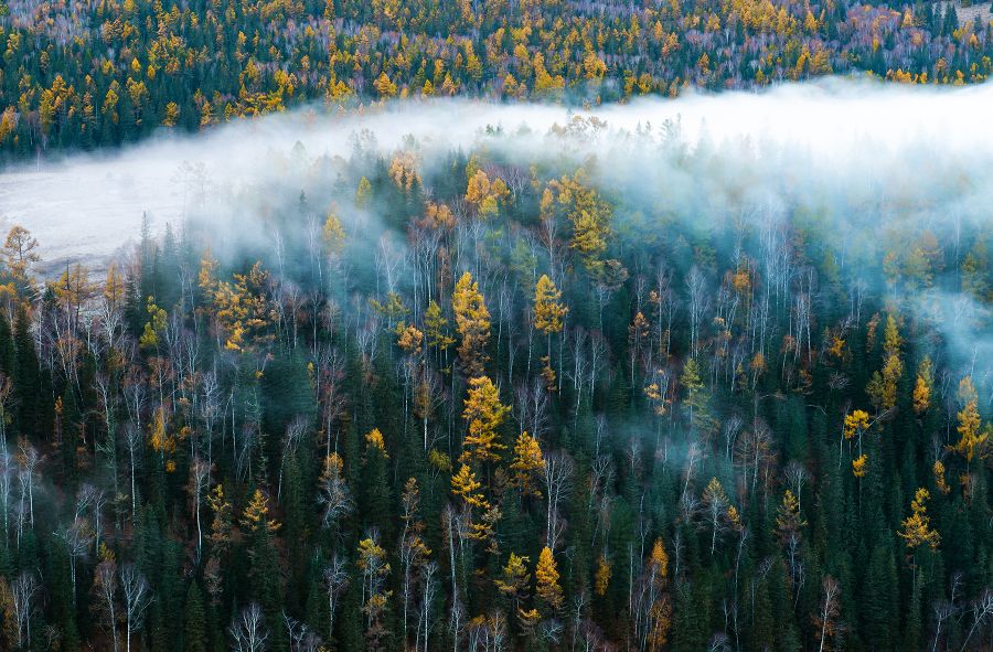 God's back garden-Kanas autumn scenery