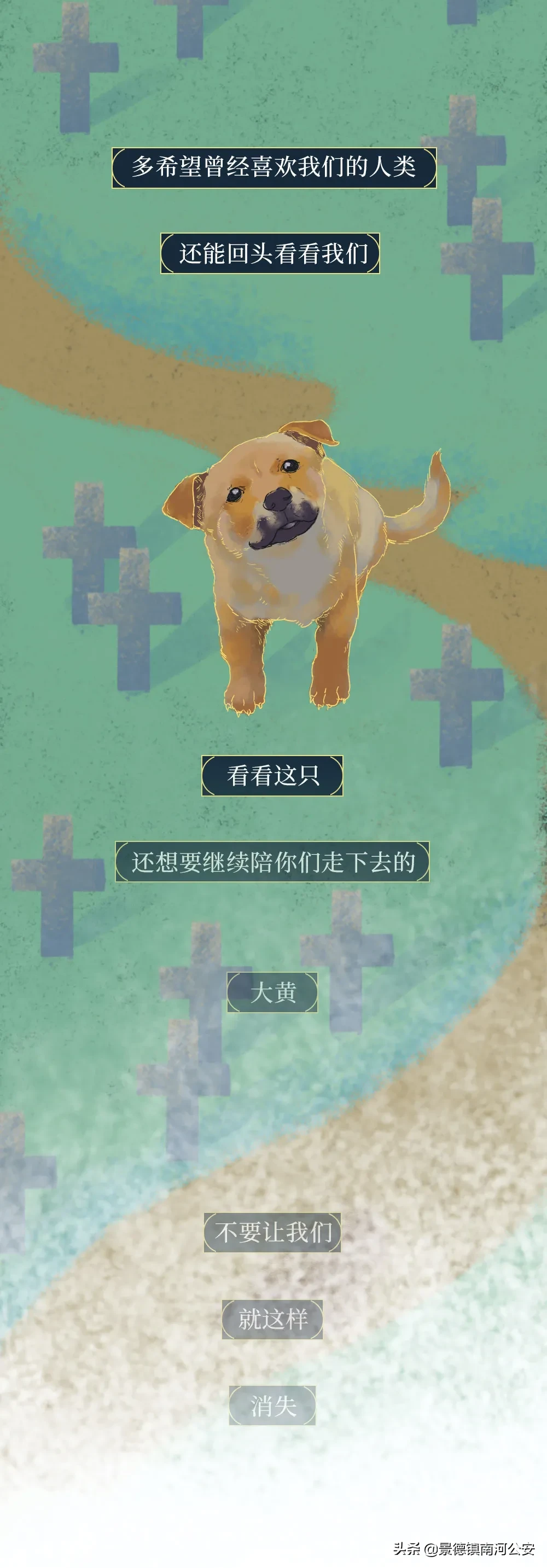 你凭什么看不起中国土狗？