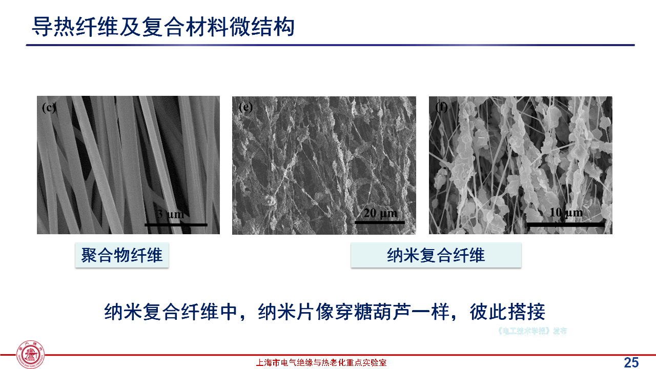 上海交通大學(xué)黃興溢教授：導(dǎo)熱絕緣復(fù)合電介質(zhì)中的界面設(shè)計與實證