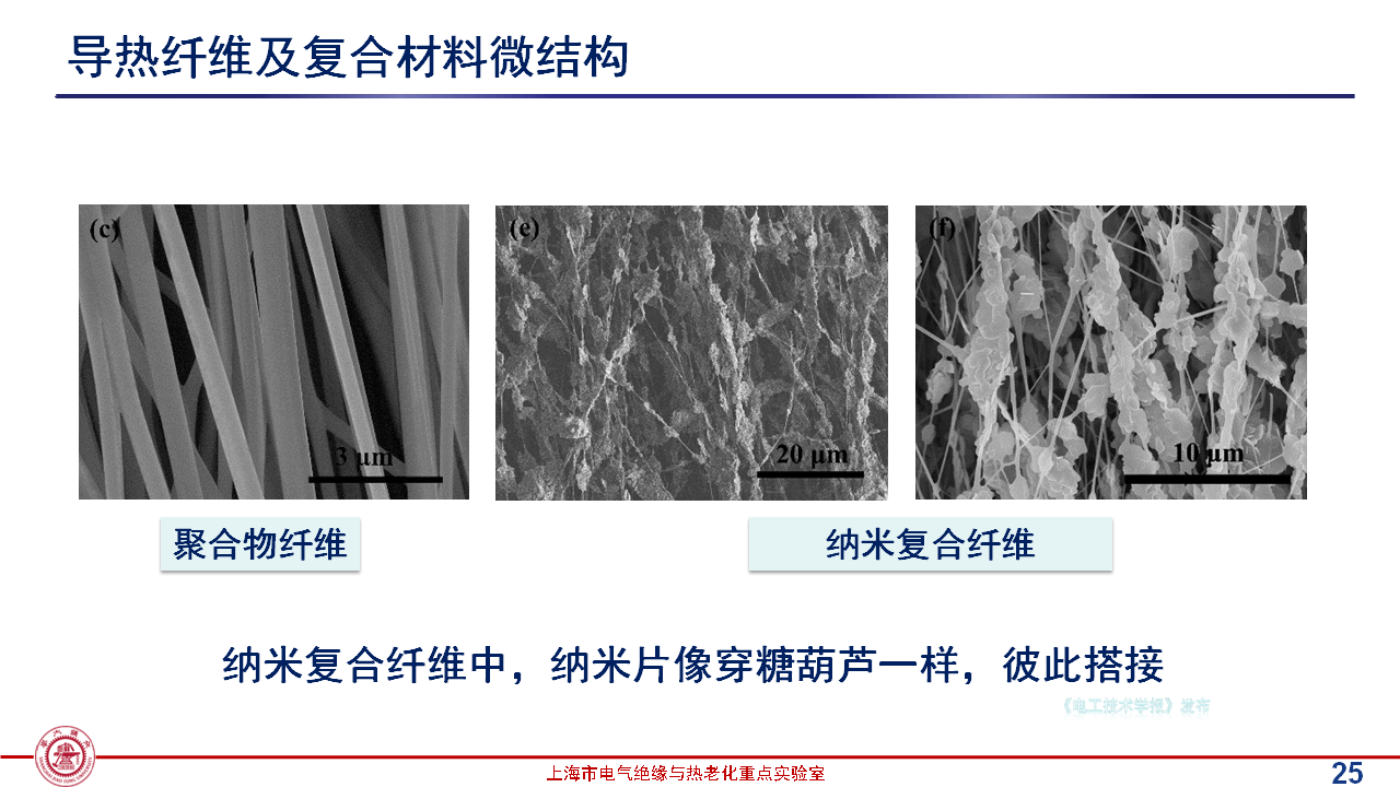 上海交通大学黄兴溢教授：导热绝缘复合电介质中的界面设计与实证