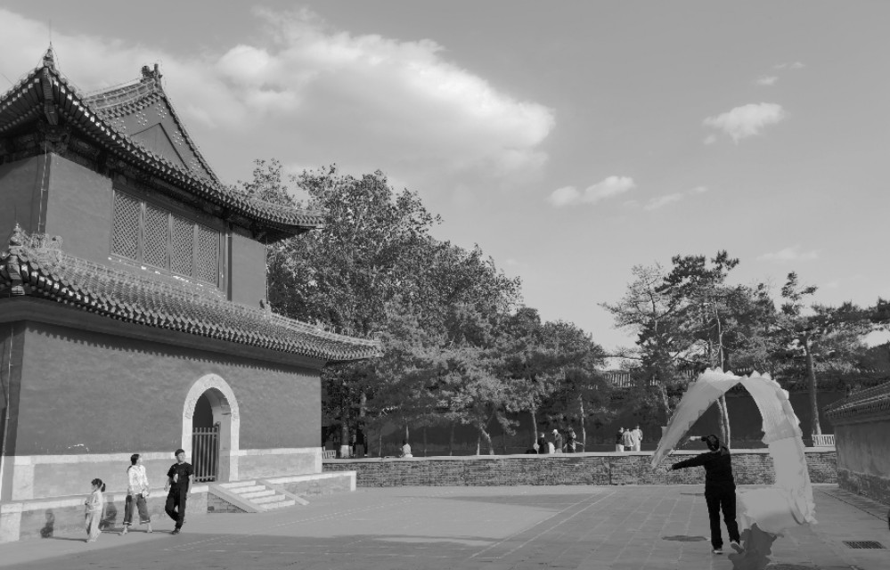 我眼中的股市之“两会行情”