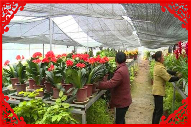 一个中年人，手里没有多少资金，在农村有什么