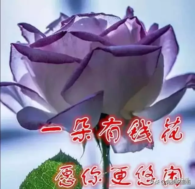 不管|初二早上好不管你身在何方 收到这份祝福你就是最有福的