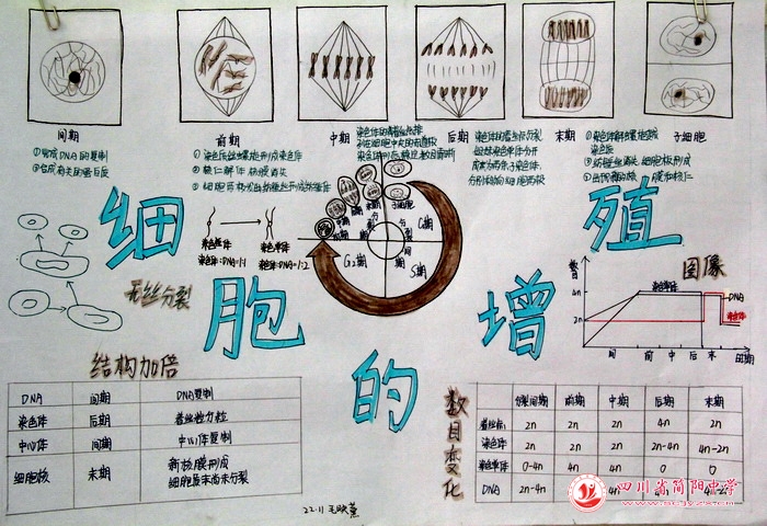 四川省简阳中学怎么样?首届生物学科节(图5)