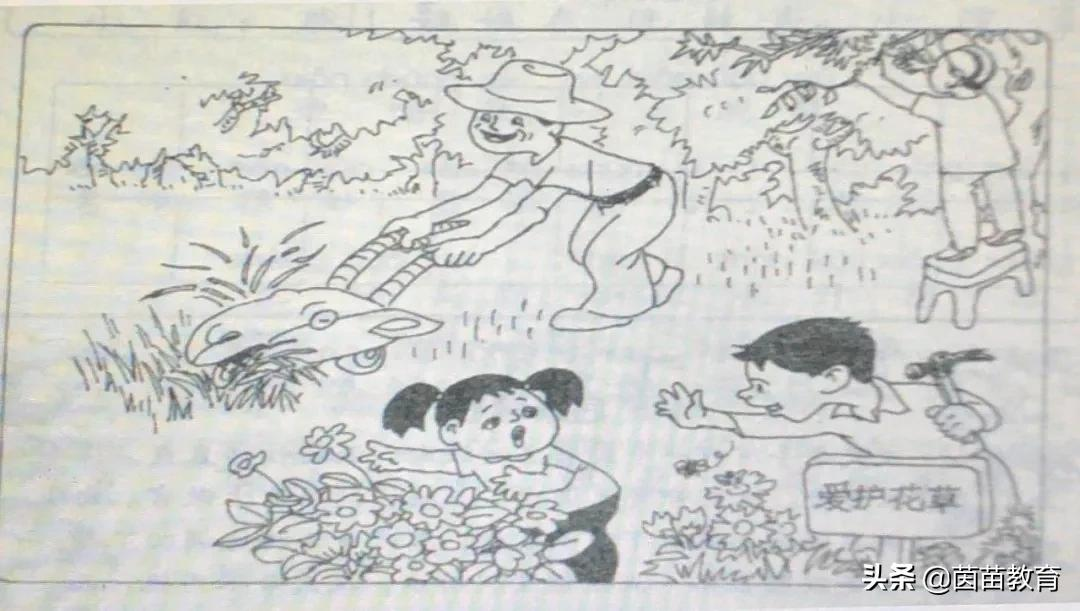 《爱护花草》《捶背》《吹泡泡》《为什么》看图写话,附范文