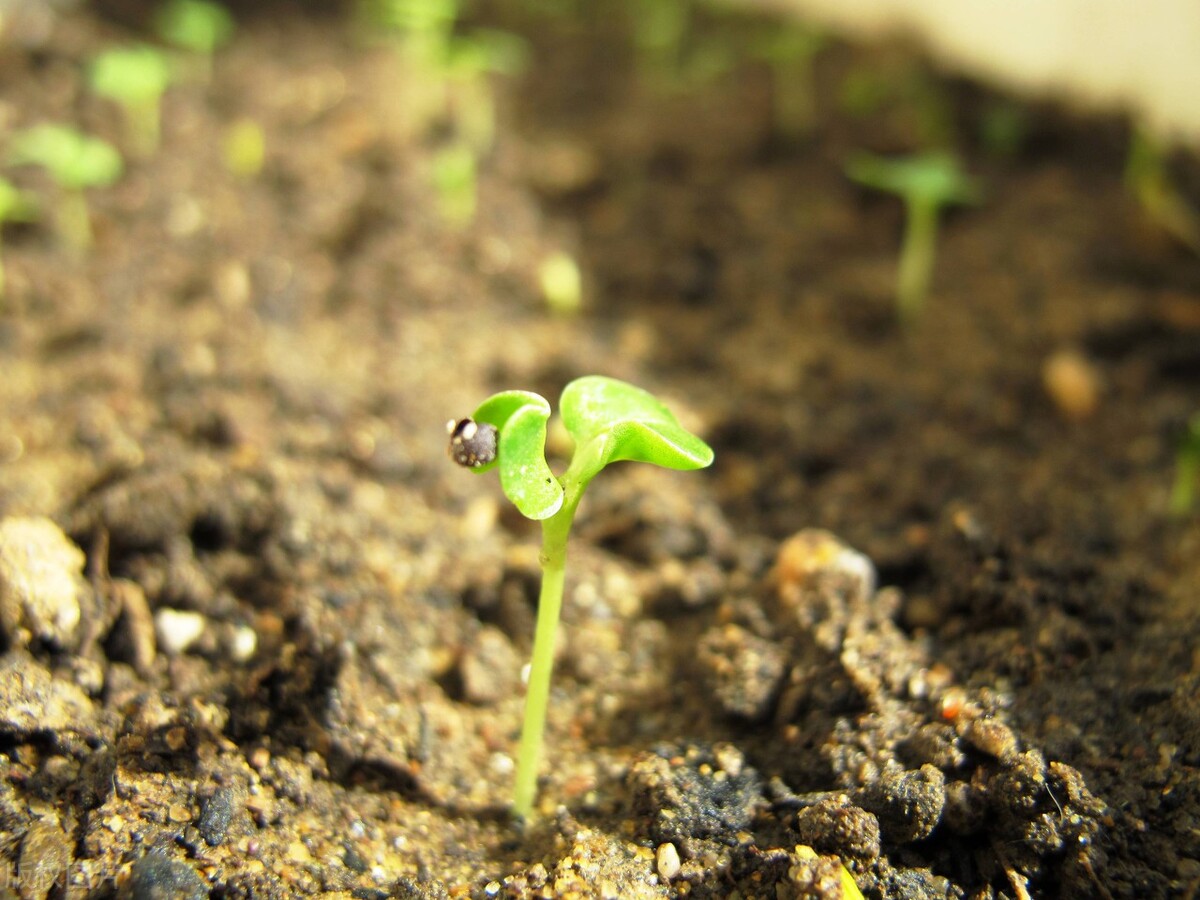没什么，普通人也可通过自我精进和自主创业，走向自由生活之路