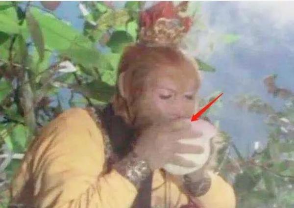西游记中的蟠桃猴子咬一口扔一个，其实并不是