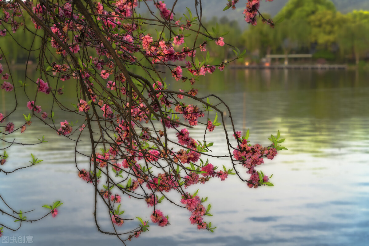 诗词故事：李白，桃花潭水深千尺，不及汪伦“骗”我情-第1张图片-非凡网