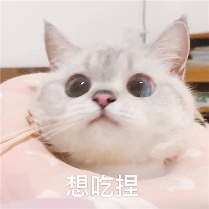 表情包宝宝委屈宝宝不说 伤心委屈 搞起啦表情图片网