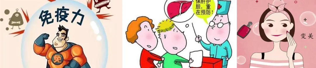 “红衣仙子”落凡尘,平补抗衰就属它——山茱萸