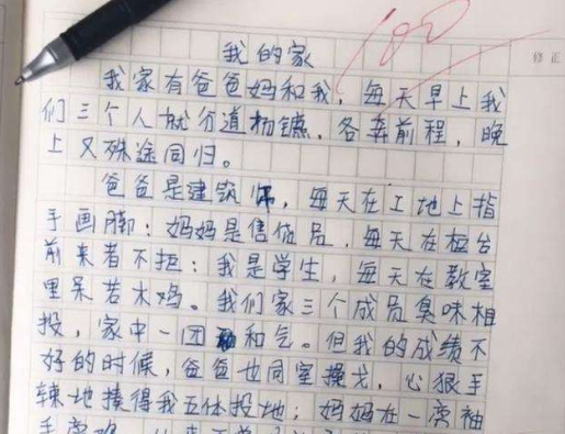 盘点小学生“满分作文”，老师直言思维太活跃，网友：理解透彻