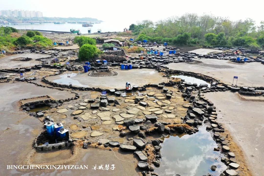 初识海南海花岛,大手笔打造的世界奇迹(图51) 初识海南海花岛,大手笔打造的世界奇迹