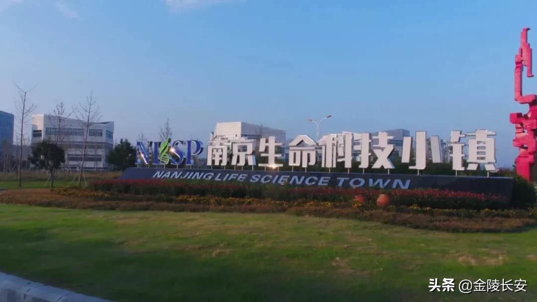 钟南山视频致辞！南京“网红区”再迎国家级大会